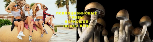 mdpv Белокуриха