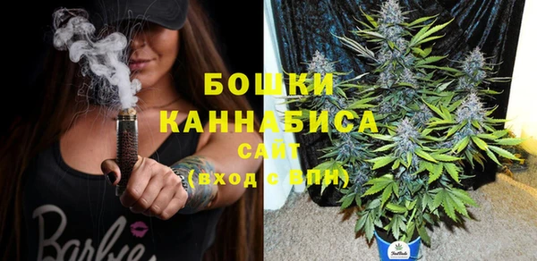 mdpv Белокуриха