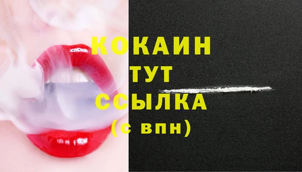 дживик Беломорск