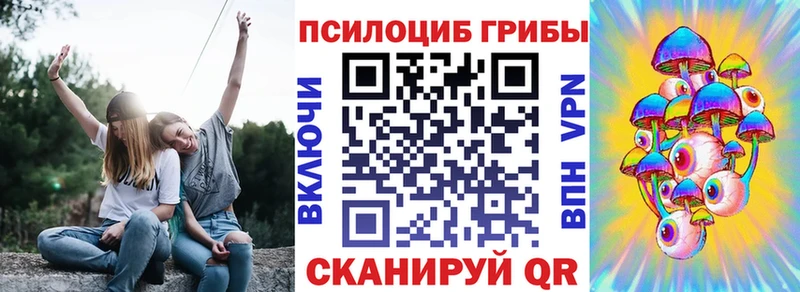 продажа наркотиков  это официальный сайт  OMG как войти  Галлюциногенные грибы мицелий  Ельня 